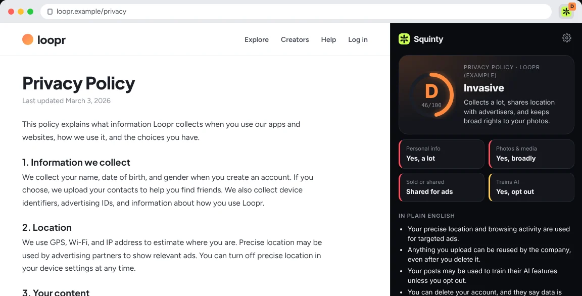 Squinty grading an example privacy policy